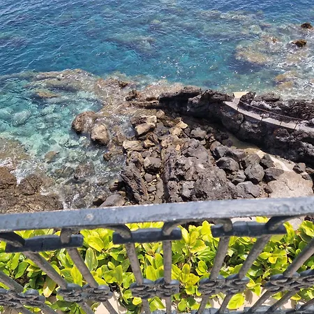 Salt Water Santa Cruz - Madeira